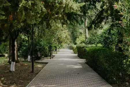 Amza Park - 19