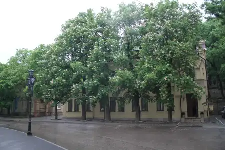 Meditsinskij Tsentr Knyazhna Meri Mini-Hotel - 21