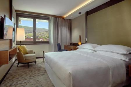 Sheraton Grand Metechi Palace - 5