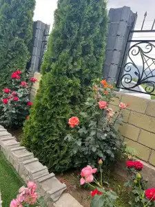 Edem Guest House - 44