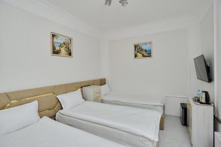 Registon Gold - 6