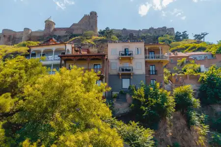 Citadel Narikala - 8