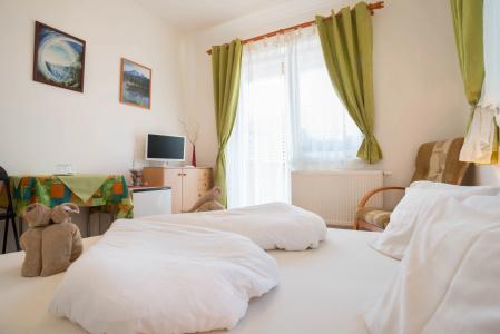 Toldi Panzió Hévíz Guest House - 43
