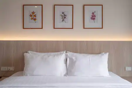 Orchidacea Resort - 7