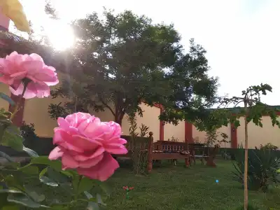 Chinor Garden 1 (Chinor Garden 1) - 4