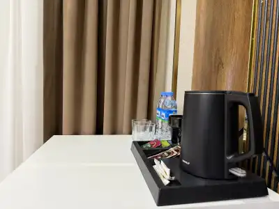 Art Regency Premium FREE airport service - 35