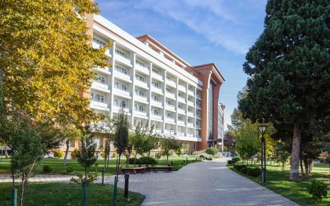 Chinar Health Naftalan - 11