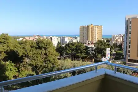 Enda Lara - 7