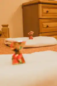 Pansionat Vyisokij Bereg - 97