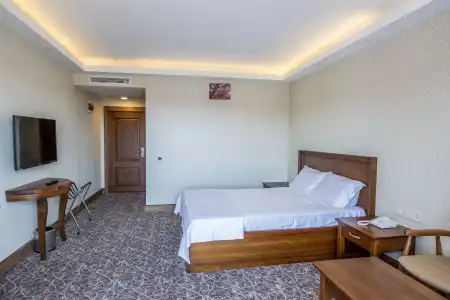 Geyikli Troya - 8