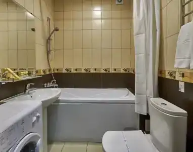 Pioner Lyuks - 207