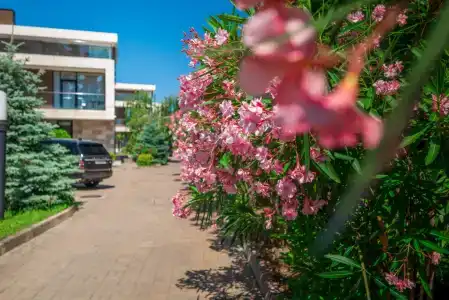 Arfa Park-hotel - 93