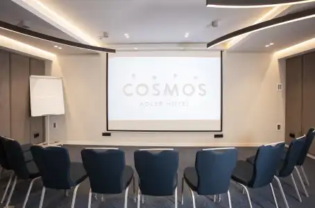 Cosmos - 43