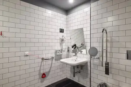 Holiday Inn St Petersburg - Theatre Square - 64