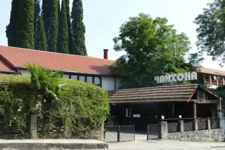 Abaata - 8