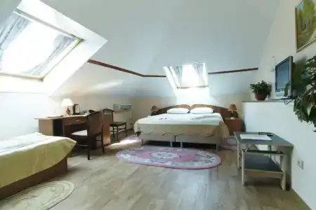 Usadba Pleshanova - 119