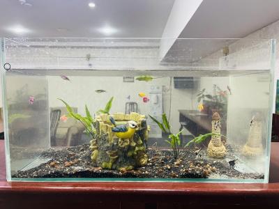 Abu Arena Hall - 47