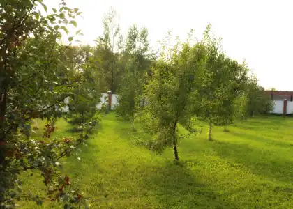 Park Almaz - 12
