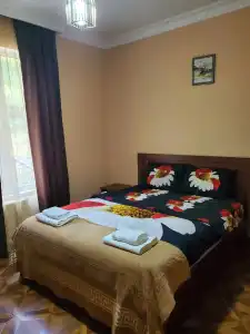 Dioscuria Borjomi Guest House - 29