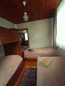 Three poplars by VL Camping - 26