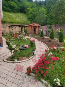 Dioscuria Borjomi Guest House - 15
