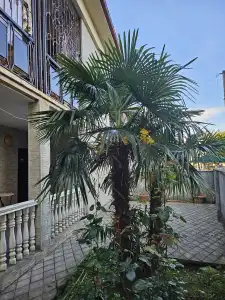 Guest house "LSD" - 24