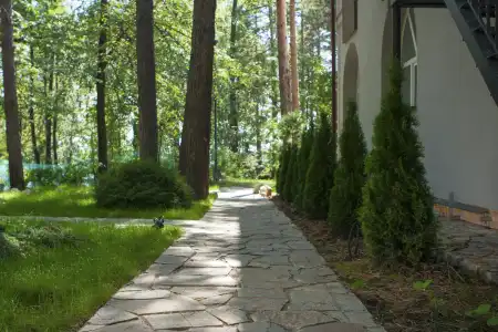 Elovoe  Scandinavian Park-Hotel - 6