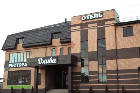 Oliva - 0