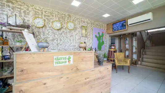 La Cactus Boutique - 6