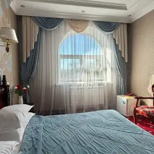 Lion - 65