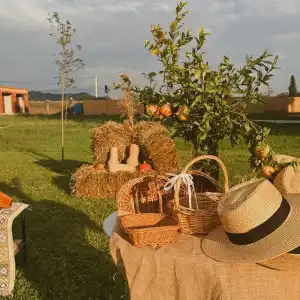 Burki Castle & Cellar - 5