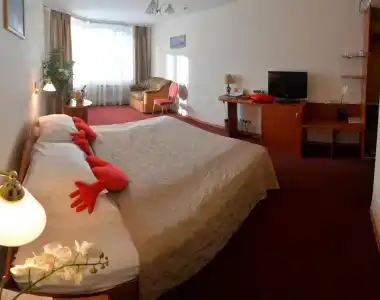 Tsentralny EuroHotel - 97