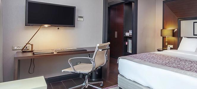 Dedeman Bostanci Istanbul & Convention Center - 52