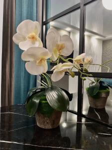 Zest And Spa Mini-Hotel - 30