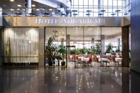 Aquarium by ZONT Group - 1