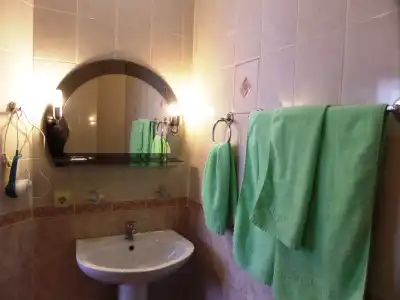 Gostinichnyij Kompleks Sosnovyij Bor - 37