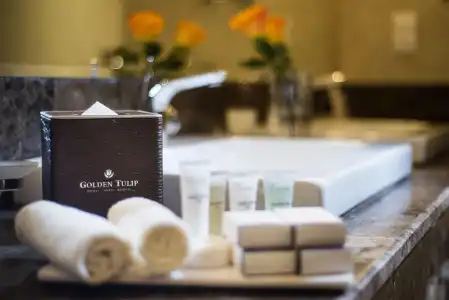 Golden Tulip Doha - 58