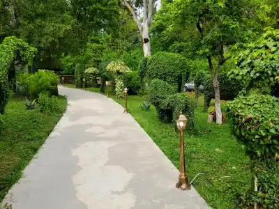 Vita Garden - 5