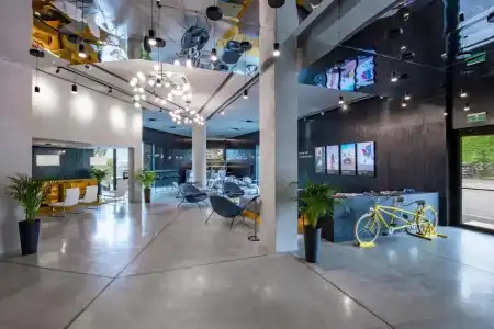Golden Tulip Design - 7