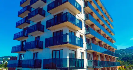 Next Green Official - 14