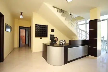 Al - 1