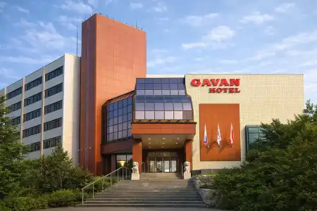 The Gavan - 0