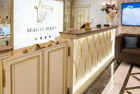 Butik-otel Magic harp - 5