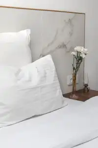 Zoom - 110