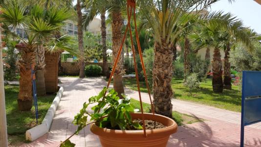 Sammy'S Kyrenia Boutique & Pool - 37