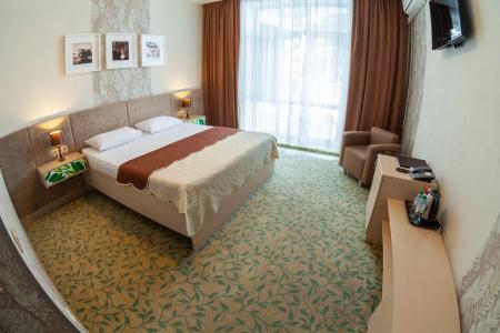 Health resort Krona - 23