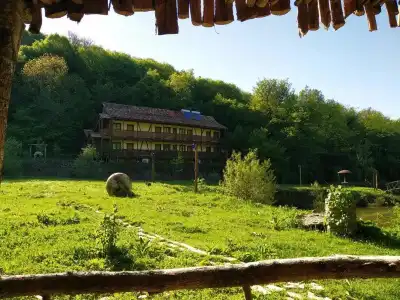 Ecokayan Dilijan Resort - 3