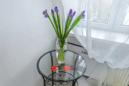 Minima Kuzminki - 7