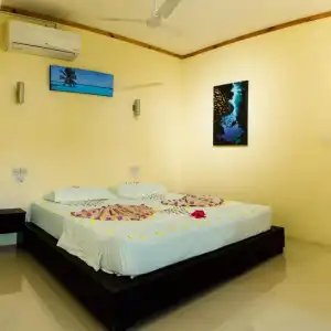 Dive Villa - 53