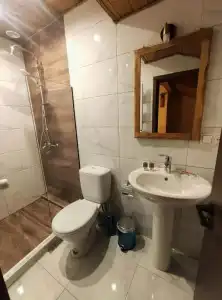 Mansarda Kazbegi - 5